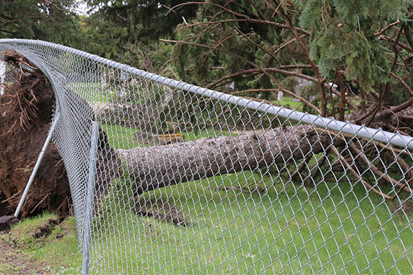 Damaged Fence repair